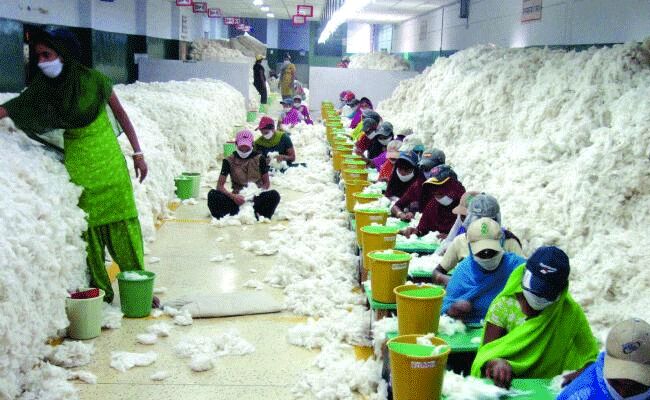 దేశీయంగా కాటన్‌కు పెరిగిన డిమాండ్