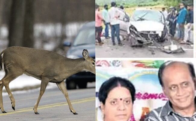 జింకను తప్పించబోయి డివైడర్ ను ఢీకొట్టి..