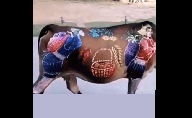 కళాకారుని ప్రతిభ.. గేదెపై పెయింట్