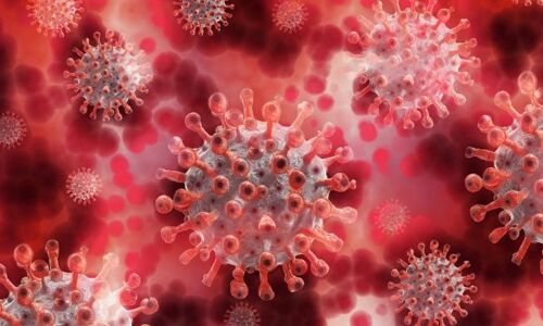 ప్రపంచవ్యాప్తంగా వైరస్ విలయతాండవం.. రెండున్నర కోట్లు దాటేశాయి.. ప్రపంచవ్యాప్తంగా వైరస్ విలయతాండవం.. రెండున్నర కోట్లు దాటేశాయి..