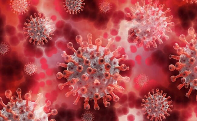 తెలంగాణలో కొత్తగా 1873 మందికి కరోనా నిర్ధారణ తెలంగాణలో కొత్తగా 1873 మందికి కరోనా నిర్ధారణ