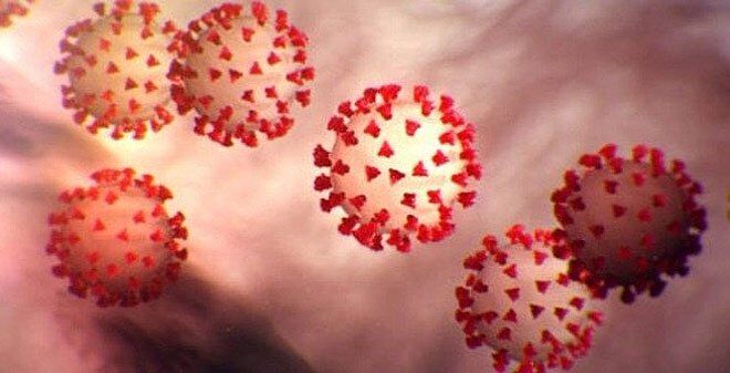 బ్రేకింగ్:  గాలి ద్వారా కరోనా..  తన ప్రకటనను విరమించుకున్న సీడీసీ బ్రేకింగ్:  గాలి ద్వారా కరోనా..  తన ప్రకటనను విరమించుకున్న సీడీసీ