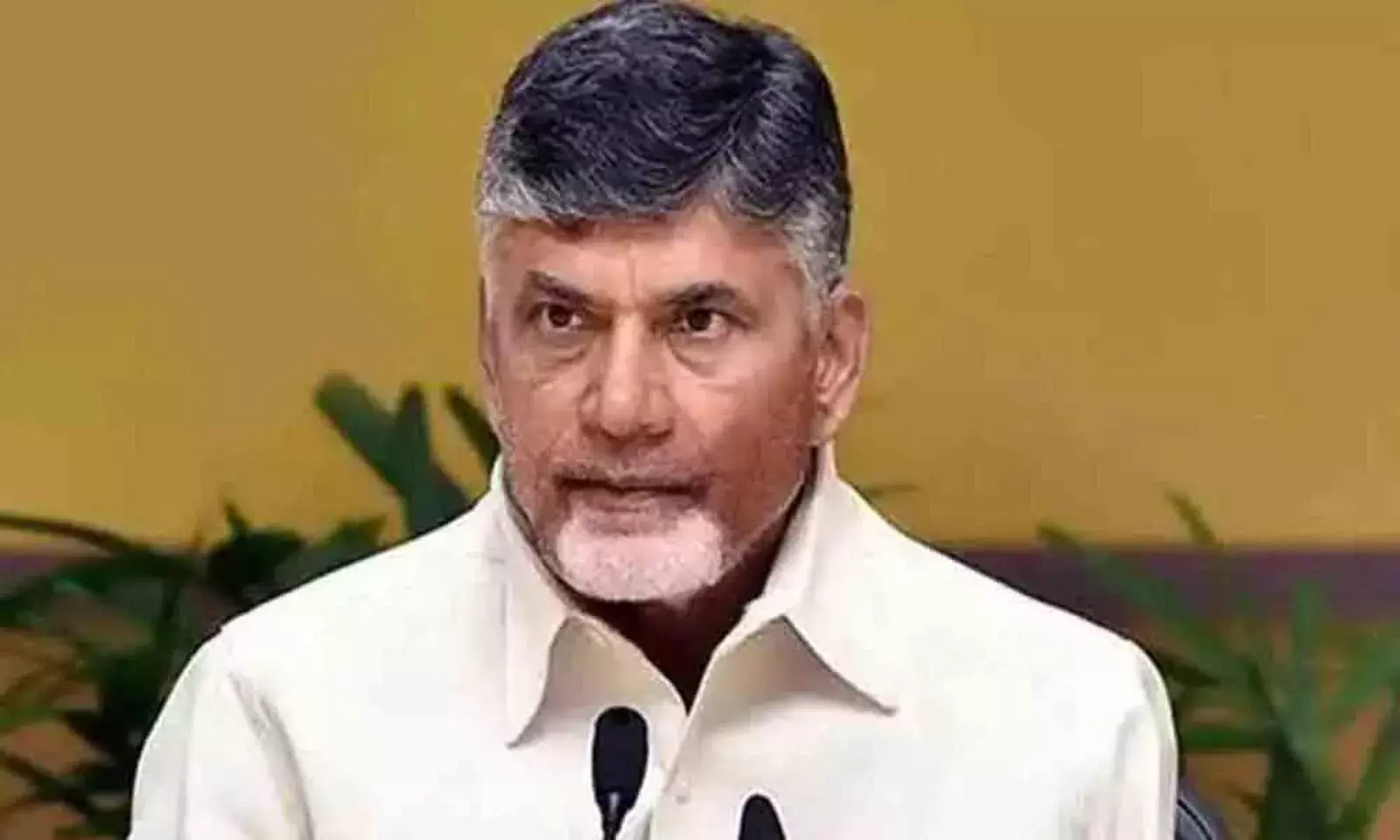 నెల్లూరు ధాన్యం రైతులకు రూ.500 కోట్లు నష్టం : చంద్రబాబు