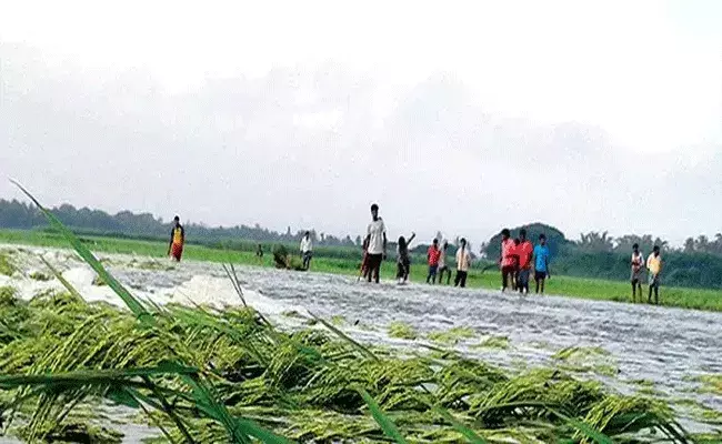 ఒకే ఊరిలో ఐదుగురు చిన్నారులు గల్లంతు