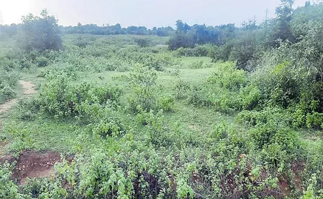 ఉమ్మడి మెదక్ జిల్లాలో మరో భూదందా.. కామారెడ్డి ఆర్డీవో సస్పెన్షన్ ఉమ్మడి మెదక్ జిల్లాలో మరో భూదందా.. కామారెడ్డి ఆర్డీవో సస్పెన్షన్