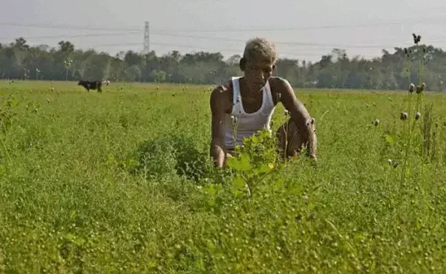 వ్యవసాయ బిల్లుకు మద్దతు తెలిపిన వైసీపీ రాజ్యసభ ఎంపీలు వ్యవసాయ బిల్లుకు మద్దతు తెలిపిన వైసీపీ రాజ్యసభ ఎంపీలు