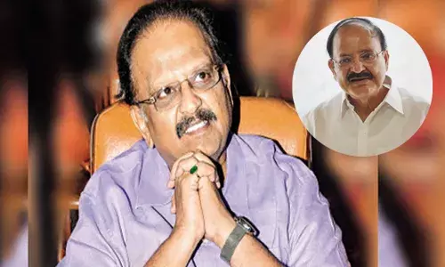 మా ఊరి బాలు..