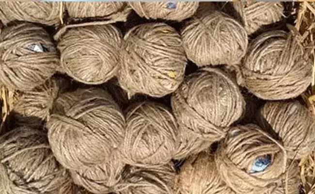 శ్రీకాకుళం జిల్లాలో నాటుబాంబులు కలకలం