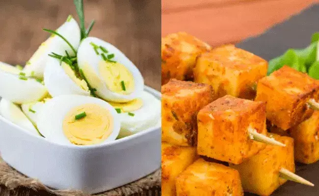 ఎగ్, పన్నీర్ ఎందులో ప్రొటీన్ ఎక్కువ.. ఏది తీసుకుంటే మంచిది.. ఎగ్, పన్నీర్ ఎందులో ప్రొటీన్ ఎక్కువ.. ఏది తీసుకుంటే మంచిది..