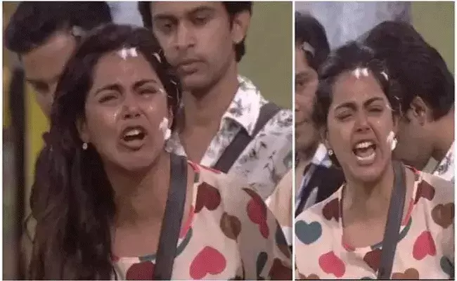 బిగ్‌బాస్ హౌస్‌లో క్యారెక్టర్ జడ్జిమెంట్లు..