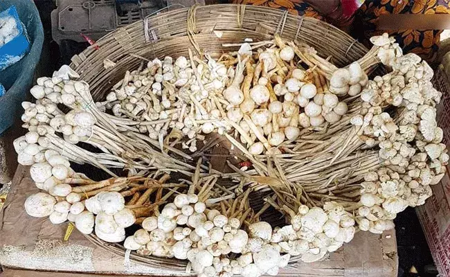 దేశంలోనే అత్యంత ఖరీదైన కూరగాయ.. కిలో రూ.1200..