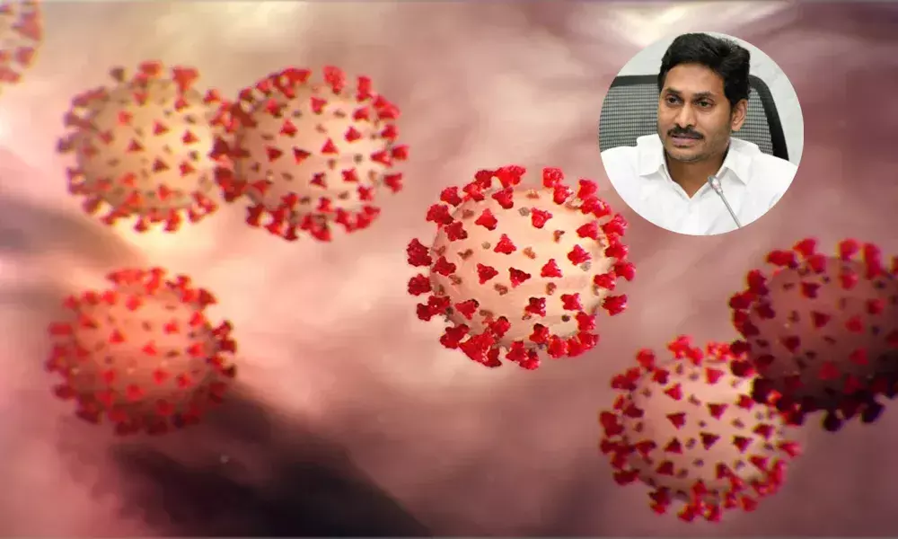 ఏపీలో ఆగని కరోనా విజృంభణ.. గత 24 గంటల్లో కేసులు చూస్తే.. ఏపీలో ఆగని కరోనా విజృంభణ.. గత 24 గంటల్లో కేసులు చూస్తే..