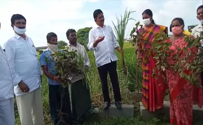 నీట మునిగిన పంటల్ని పరిశీలించిన మాజీ మంత్రి దేవినేని ఉమ