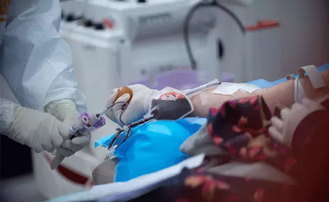 7 నెలల వరకు యాంటీ బాడీస్