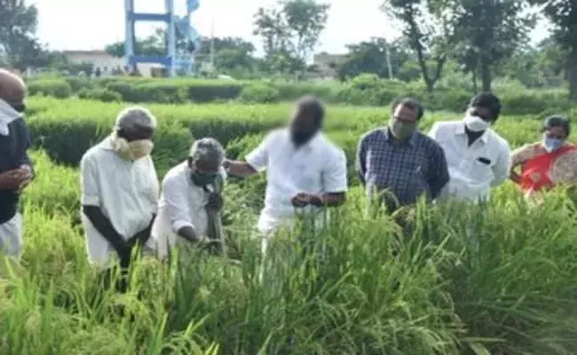 తెలంగాణలో తీరని నష్టాన్ని మిగిల్చిన కుంభవృష్టి తెలంగాణలో తీరని నష్టాన్ని మిగిల్చిన కుంభవృష్టి