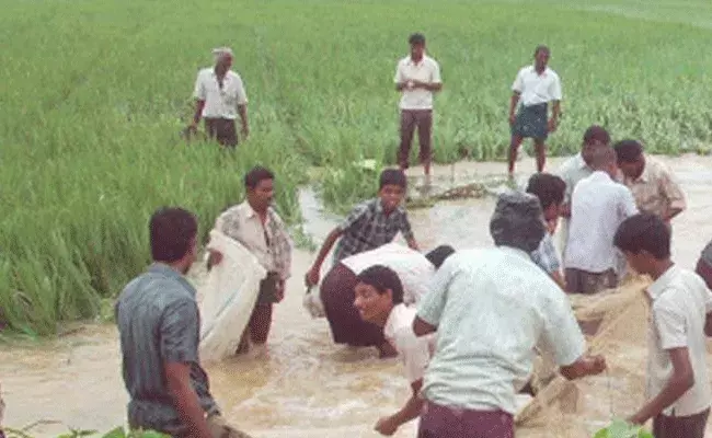 ఆంధ్రప్రదేశ్లో అన్నదాతల పాలిట శాపంలా మారిన అతివృష్టి ఆంధ్రప్రదేశ్లో అన్నదాతల పాలిట శాపంలా మారిన అతివృష్టి