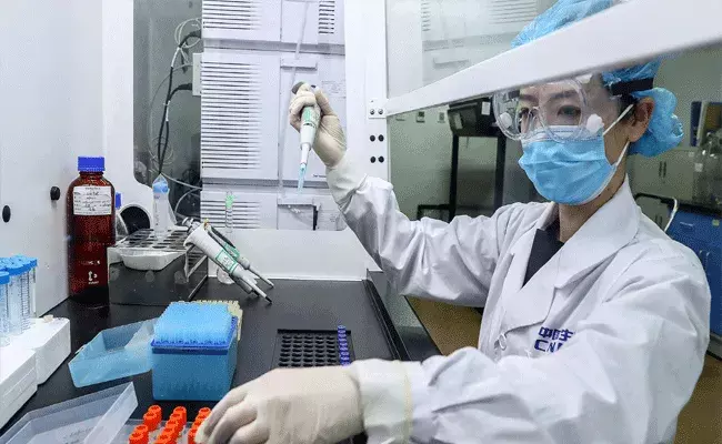 చైనా నుంచి వ్యాక్సిన్ వచ్చేసింది.. చాలా సేఫ్ కూడా: బ్రెజిల్ కాంప్లిమెంట్ చైనా నుంచి వ్యాక్సిన్ వచ్చేసింది.. చాలా సేఫ్ కూడా: బ్రెజిల్ కాంప్లిమెంట్