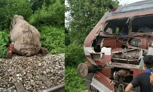 ఏనుగుల మృతికి కారణమైన రైలు.. ఆగ్రహించిన అటవీ అధికారులు.. ఏనుగుల మృతికి కారణమైన రైలు.. ఆగ్రహించిన అటవీ అధికారులు..