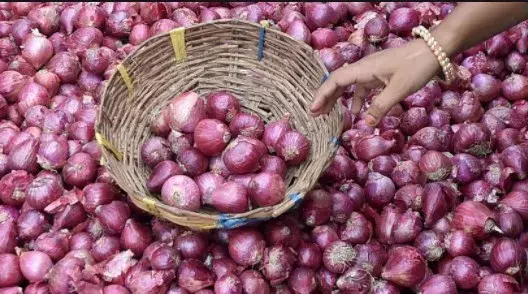 సెంచరీకి చేరిన ఉల్లి ధరలు