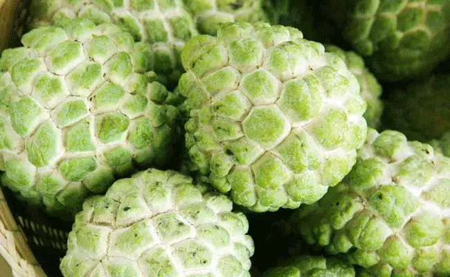 సీతాఫలంలో ఆరోగ్య ప్రయోజనాలు ఎన్నో.. ఇప్పుడే తినండి.. తరువాత దొరకదు