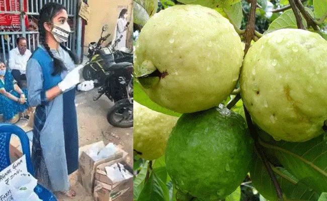 అమ్మ సాప్ట్వేర్.. నాన్న డాక్టర్.. ఆమె నీట్ ర్యాంకర్.. అయినా పార్క్ ముందు పండ్లమ్ముతూ.. అమ్మ సాప్ట్వేర్.. నాన్న డాక్టర్.. ఆమె నీట్ ర్యాంకర్.. అయినా పార్క్ ముందు పండ్లమ్ముతూ..