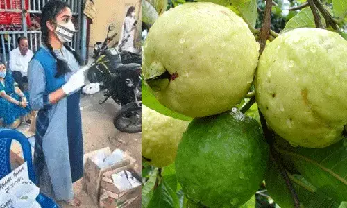 అమ్మ సాప్ట్వేర్.. నాన్న డాక్టర్.. ఆమె నీట్ ర్యాంకర్.. అయినా పార్క్ ముందు పండ్లమ్ముతూ.. అమ్మ సాప్ట్వేర్.. నాన్న డాక్టర్.. ఆమె నీట్ ర్యాంకర్.. అయినా పార్క్ ముందు పండ్లమ్ముతూ..