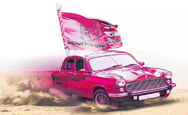 గ్రేటర్‌ ఎన్నికల ప్రచారంలో గులాబీ దళం జోరు