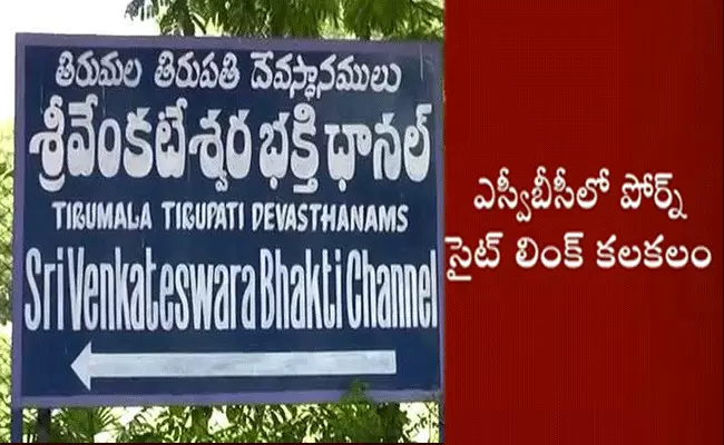 ఎస్వీబీసీలో పోర్న్ సైట్ లింక్ కలకలం ఎస్వీబీసీలో పోర్న్ సైట్ లింక్ కలకలం