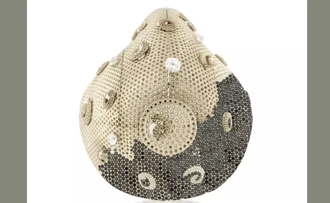 మహానుభావుడు.. మాస్క్‌కి రూ.11 కోట్లు ఖర్చుపెట్టాడు..