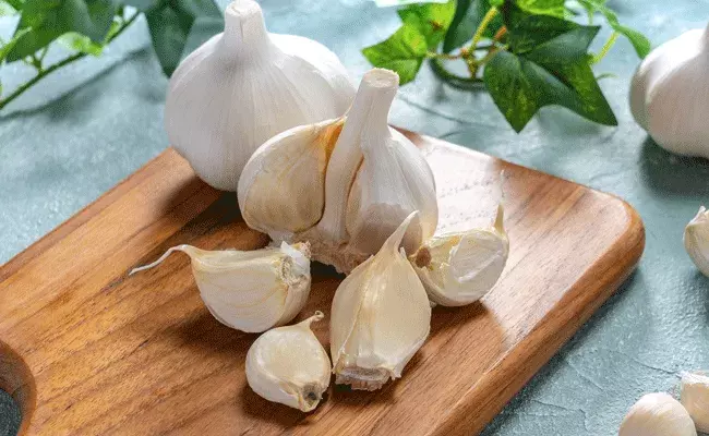 వంటల్లో వెల్లుల్లి.. మొటిమల నివారణలో అద్భుత వల్లి వంటల్లో వెల్లుల్లి.. మొటిమల నివారణలో అద్భుత వల్లి