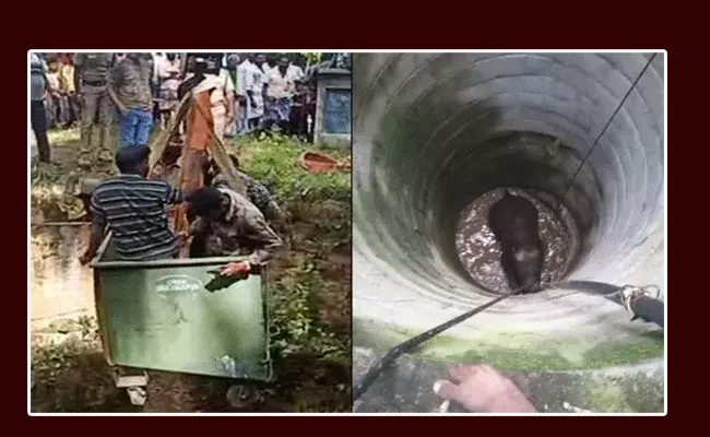 అరవై అడుగుల బోరు బావిలో పడిన గున్న ఏనుగు