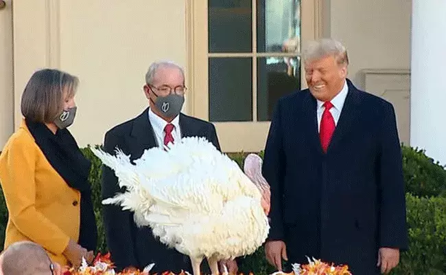 ట్రంప్ మారిపోయారు.. కోడిని క్షమించేశారు.. ట్రంప్ మారిపోయారు.. కోడిని క్షమించేశారు..