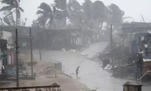 నివర్ తుఫాన్ : తమిళనాడు, ఆంధ్రప్రదేశ్ రాష్ట్రాలపై తీవ్ర ప్రభావం