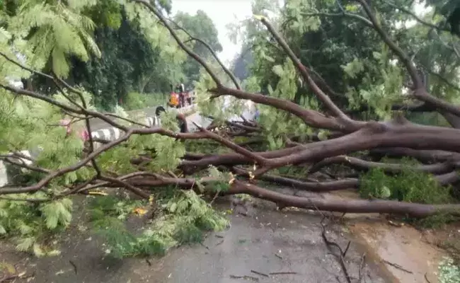 చిత్తూరు జిల్లాపై నివర్ తీవ్ర ప్రభావం.. కుంభవృష్టి.. చిత్తూరు జిల్లాపై నివర్ తీవ్ర ప్రభావం.. కుంభవృష్టి..