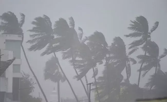 ఆంధ్రప్రదేశ్‌ రాష్ట్ర వ్యాప్తంగా నివర్‌ తుఫాను బీభత్సం