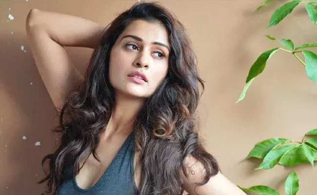 ఆర్‌ఎక్స్ 100 చూడొద్దన్నారు.. రాత్రికి రాత్రే స్టార్