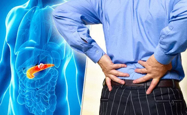 వేధించే వెన్నునొప్పి.. ప్యాంక్రియాటిక్ క్యాన్సర్ మొదటి సంకేతం కావచ్చు: నిపుణుల హెచ్చరిక వేధించే వెన్నునొప్పి.. ప్యాంక్రియాటిక్ క్యాన్సర్ మొదటి సంకేతం కావచ్చు: నిపుణుల హెచ్చరిక