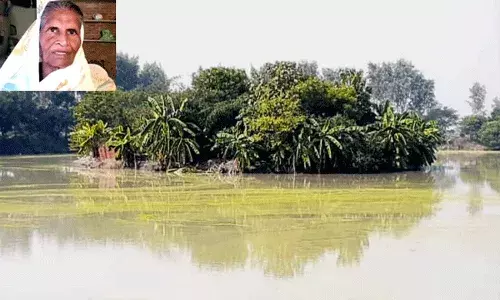 68 ఏళ్ల కిరణ్కు గూగుల్ ప్రశంసలు.. ఏడాదికి రూ.25 లక్షల ఆదాయం మరి.. 68 ఏళ్ల కిరణ్కు గూగుల్ ప్రశంసలు.. ఏడాదికి రూ.25 లక్షల ఆదాయం మరి..