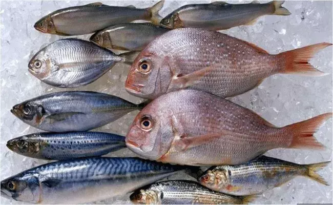 నదీ చేప.. సముద్రపు చేప.. ఏది  ఆరోగ్యానికి మంచిది