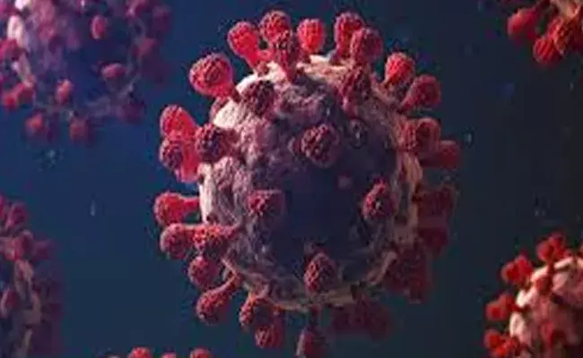 ఏపీలో కొత్తరకం కరోనా వైరస్‌ కలకలం.. తూర్పుగోదావరి జిల్లా రాజమండ్రిలో ఓ మహిళకు పాజిటివ్!