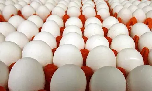 కొండెక్కిన కోడిగుడ్డు.. ఒక గుడ్డు ధర రూ.30