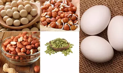 ప్రొటీన్ కోసం గుడ్డే తినాలని ఏం ఉంది.. ఇవి కూడా తినొచ్చు.. ప్రొటీన్ కోసం గుడ్డే తినాలని ఏం ఉంది.. ఇవి కూడా తినొచ్చు..