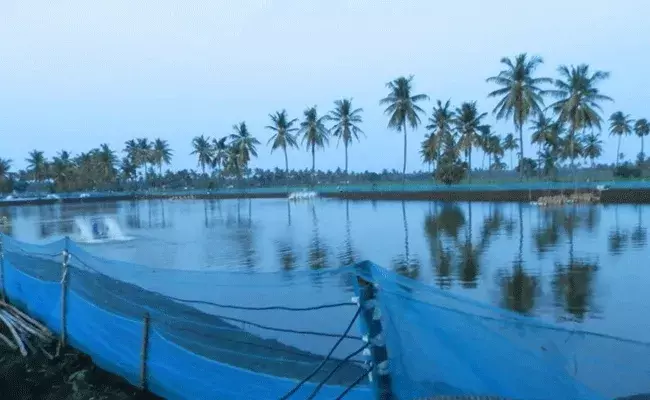 కోర్టు స్టే ఇచ్చిన భూమిని ఇళ్ల స్థలాలకు.. రైతుల ఆగ్రహం