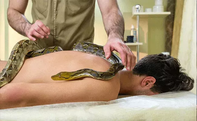 అక్కడికి వెళ్తే కెవ్వు కేక.. పాములతో మసాజ్