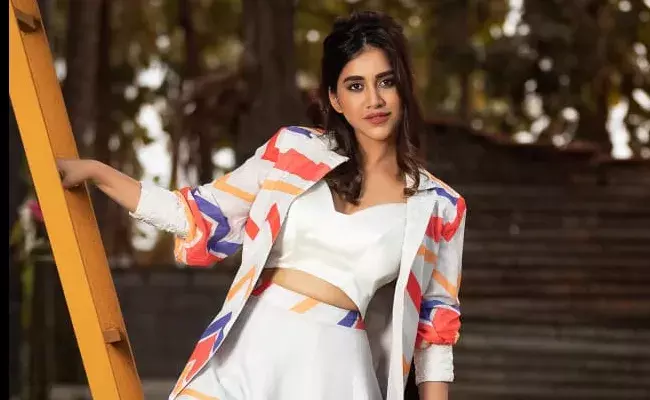 Nabha Natesh : అందాల నభా!