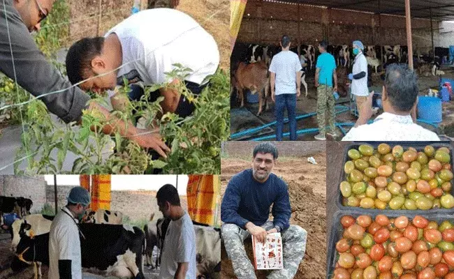 ధోనీ కూరగాయలు దుబాయ్ మార్కెట్లో.. ధోనీ కూరగాయలు దుబాయ్ మార్కెట్లో..