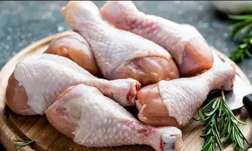 పడిపోయిన చికెన్ ధరలు.. కేజీ చికెన్ ఎంతంటే? పడిపోయిన చికెన్ ధరలు.. కేజీ చికెన్ ఎంతంటే?