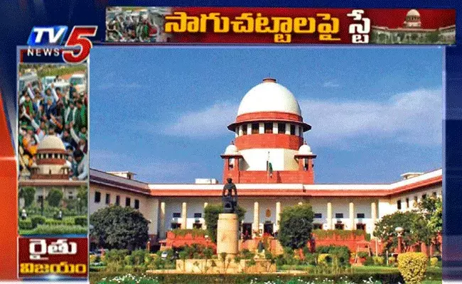 సుప్రీం కోర్టు కీలక నిర్ణయం.. కేంద్ర వ్యవసాయ చట్టాల అమలుపై స్టే సుప్రీం కోర్టు కీలక నిర్ణయం.. కేంద్ర వ్యవసాయ చట్టాల అమలుపై స్టే