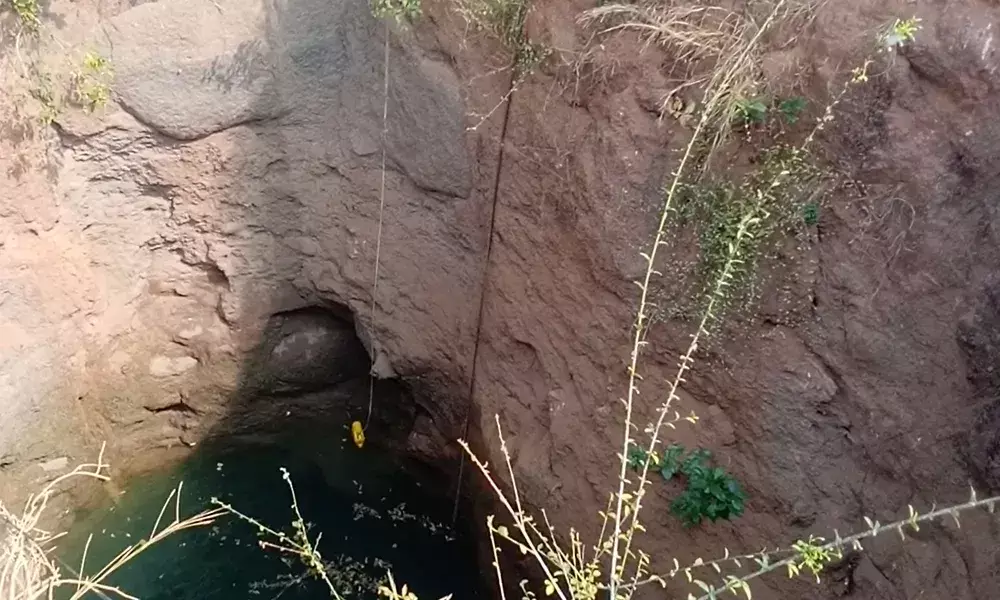 ప్రమాదవశాత్తు బావిలో పడ్డ చిరుత!