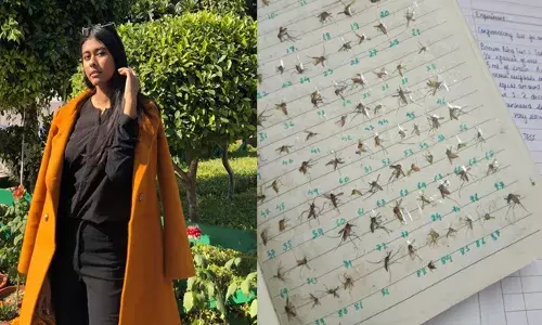 దోమలను చంపేసి.. నోట్‌బుక్‌లో అతికిస్తూ.. కారణం ఇదే!